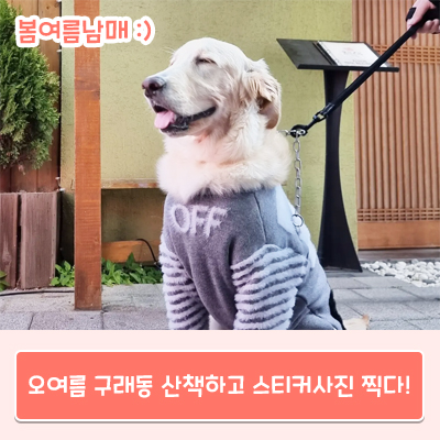  오여름 구래동 산책하고 스티커 사진 찍다!