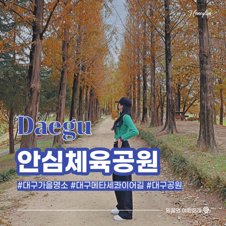  대구 가볼만한곳 단풍 명소 가을 포토존 산책하기 좋은 곳 : 안심체육공원