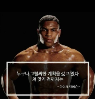 11.3 매매일지