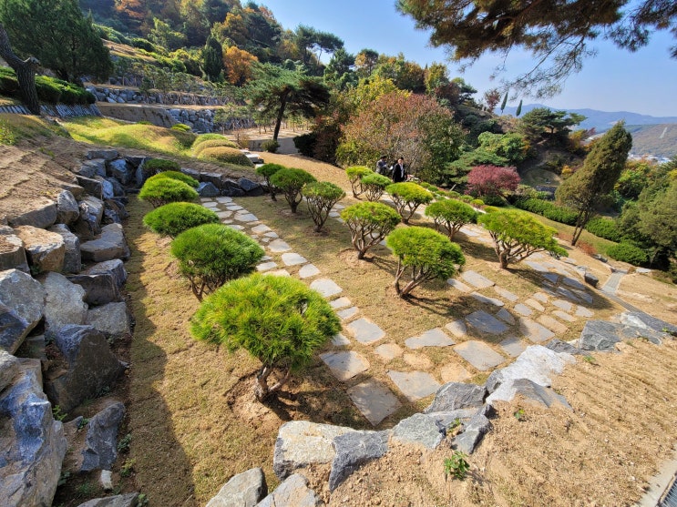  용인 수목장 소개해드릴게요+가격(서울장묘산업)