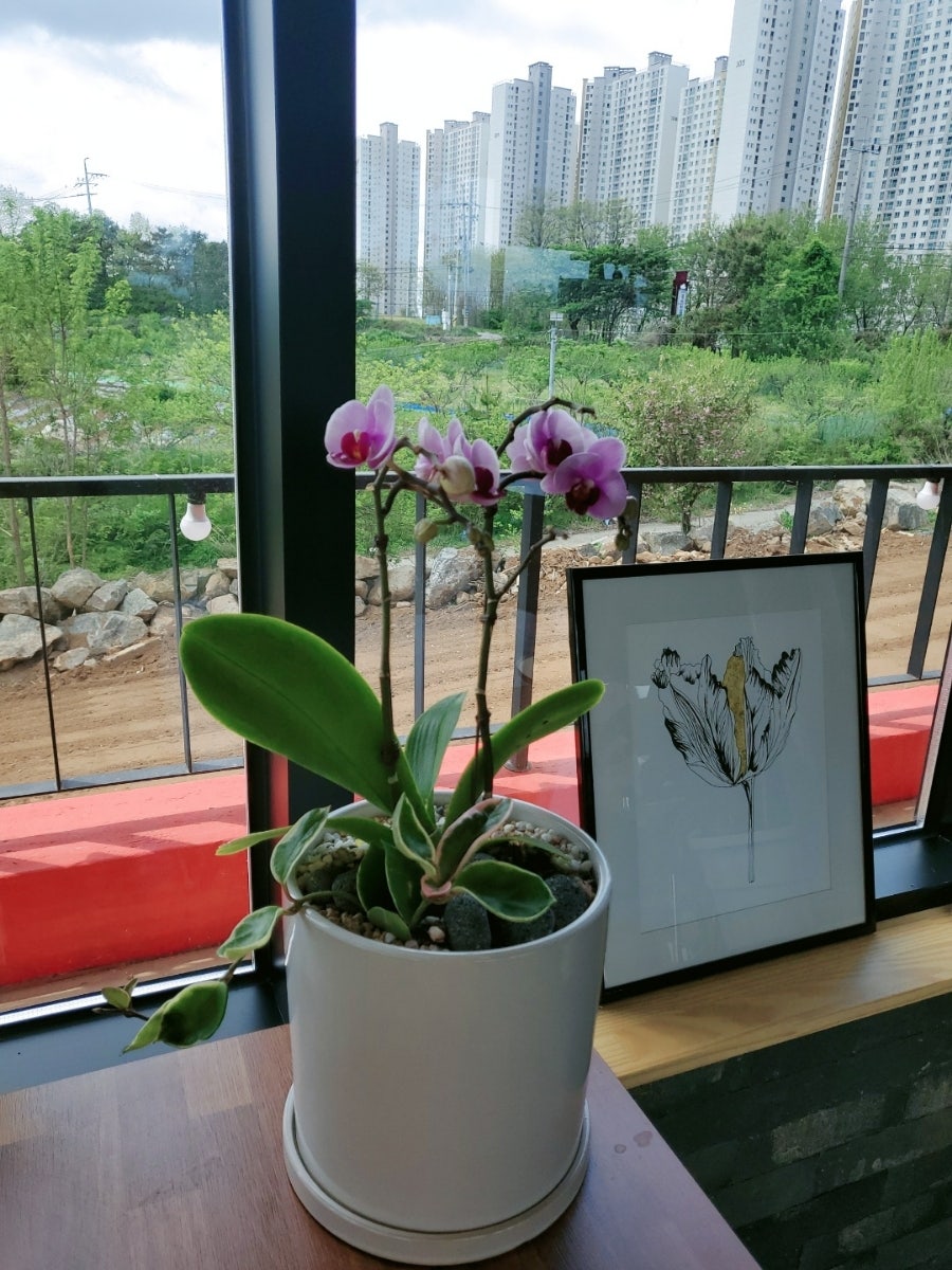 숙카페 사진 2