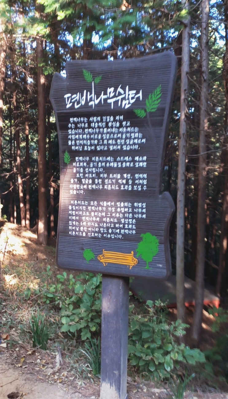  산책하기 좋은 곳 창원 반송공원
