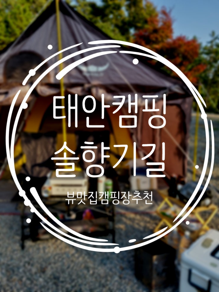  태안오토캠핑장 노을이 멋있는 솔향기길 캠핑장 후기
