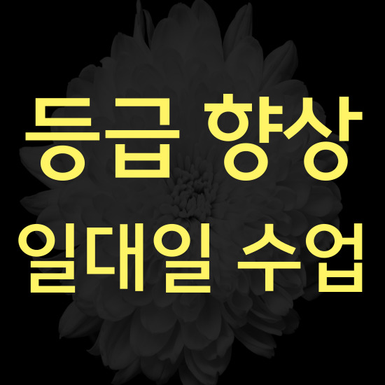  마곡 중학생 영어과외 방화동 고등 수학과외 검정고시 수업