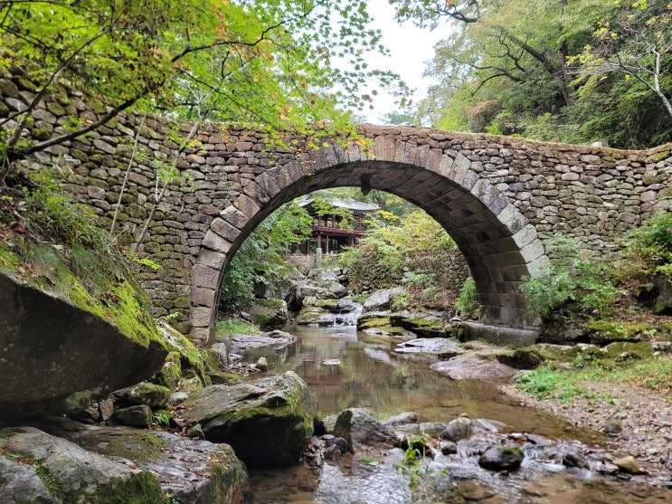  순천 사찰 '조계산 선암사', 조계산 도립공원 둘레길 걸으며 떠나는 힐링 여행 +'카페 '다반사' (주차장, 입장료, 도립공원, 산책로, 등산 코스, 소요시간 정보)