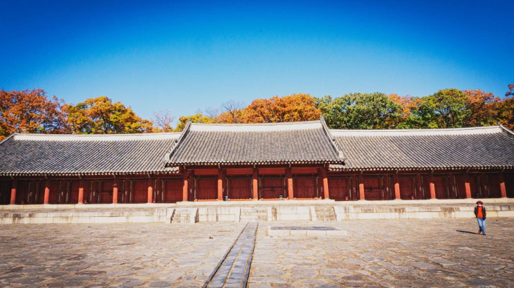  종묘의 가을: 갈참나무 무성한 참나무숲