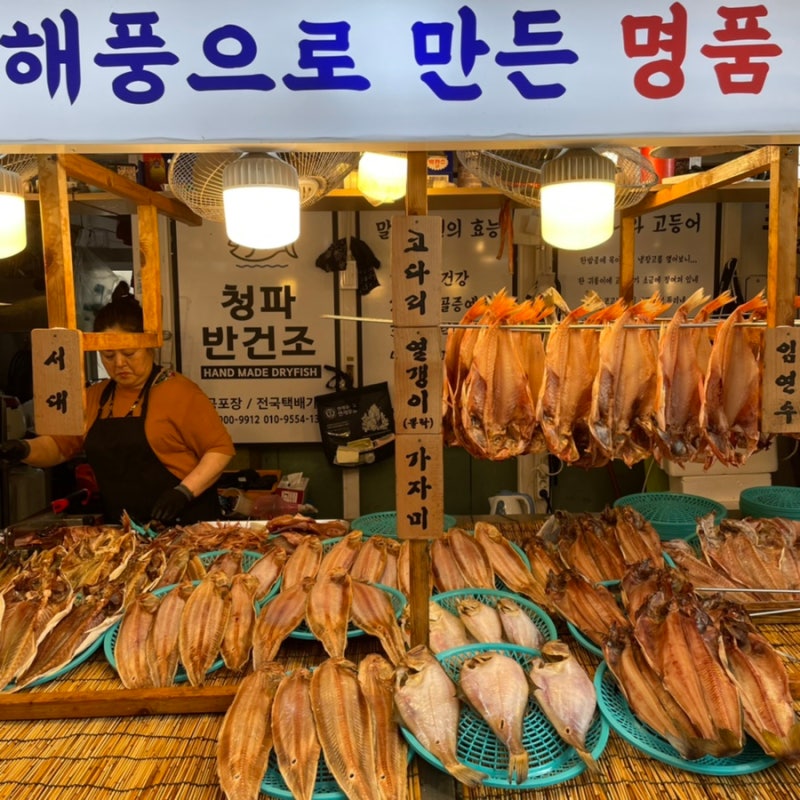 속초관광수산시장 반건조생선 청파반건조 맛도 최고