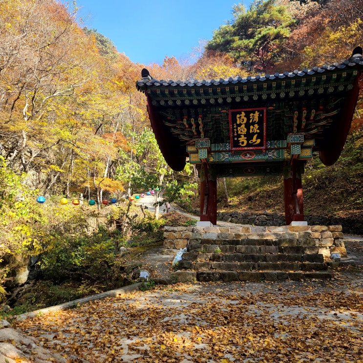 봉화 청량사 [ 청량산 ]