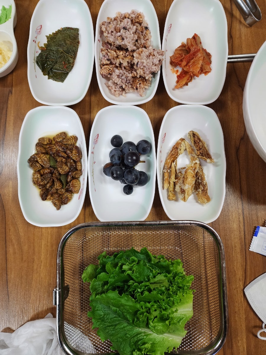 황금산송어 사진 4