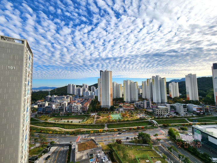  일상 기록 / 세종 커피D, 충남대학교대덕캠퍼스제1후생관, 하나은행 충남대지점, 반석더샵