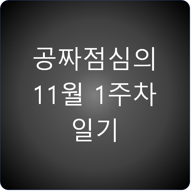  공짜점심의 11월 1주차 일기