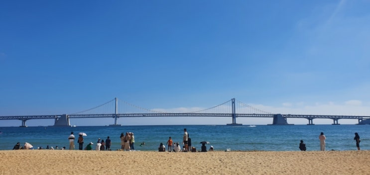  부산여행일기(부산시립미술관,자갈치시장,용두산)
