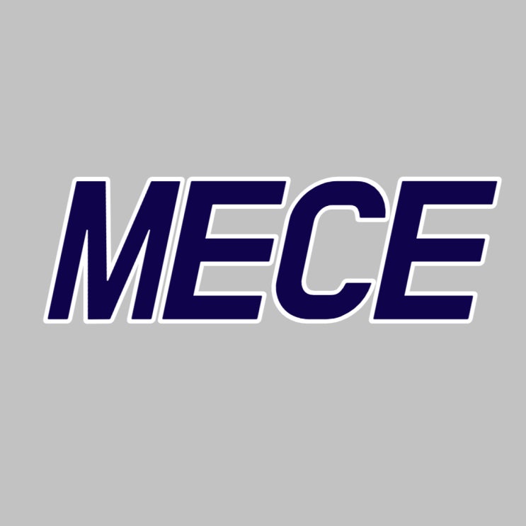  MECE 논리적 사고, 성공의 시작