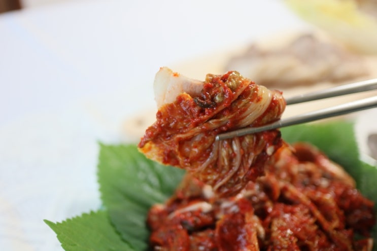  지금 먹어야 제맛! 제철 굴겉절이