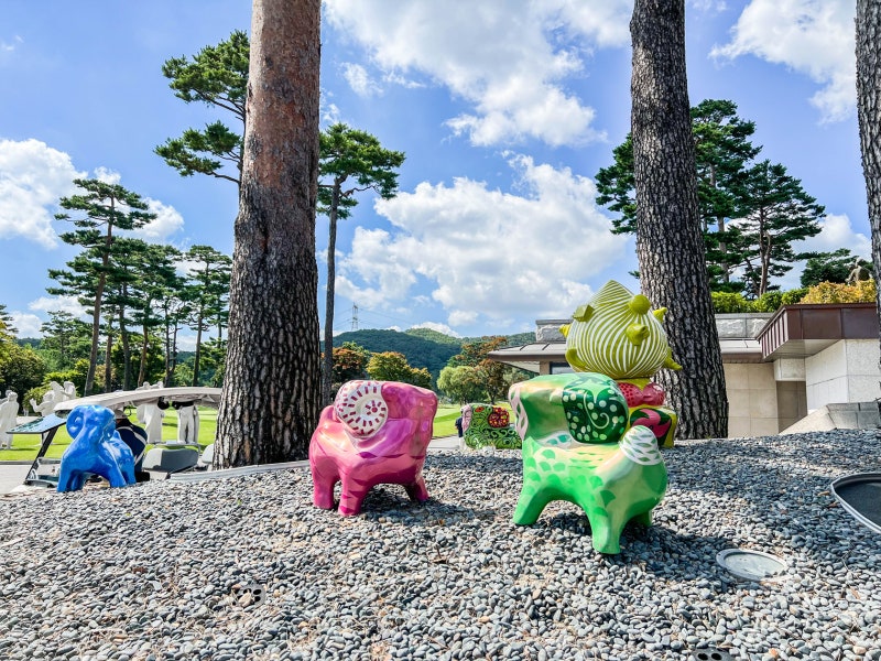 렉스필드cc 후기 및 겨울라운딩 준비물 컬러골프공 세인트나인