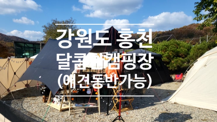  강원도 홍천 캠핑장 공유! 달콤한캠핑장에서 친구 커플과 함께 보낸 1박2일 가을 캠핑! 애견 동반도 가능하다.