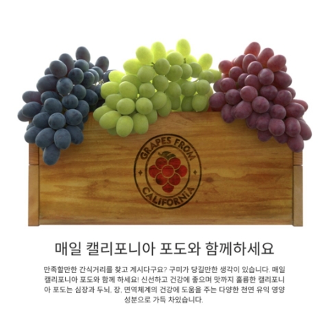  11월 4일 캐시워크 돈버는퀴즈 캘리포니아 포도 정답