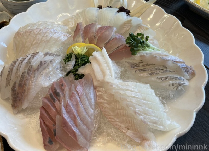 [강릉 맛집] 강릉 안목해변 ‘해송횟집’ 바다뷰 회맛있는곳