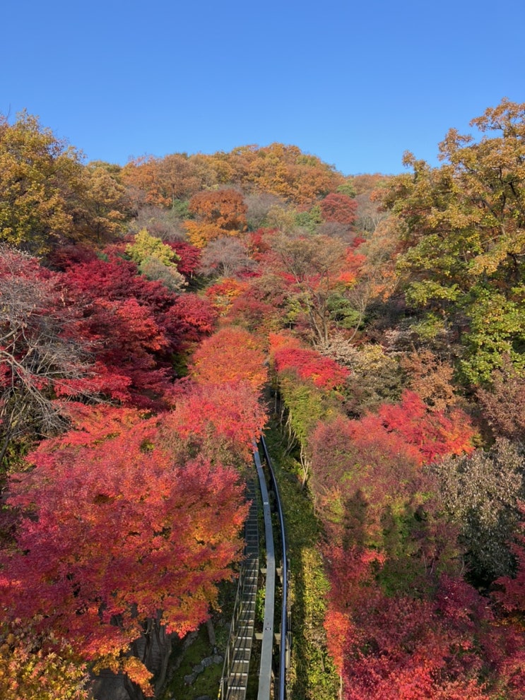  일상일기_물건수리, 그랑데세탁기고장, 맥세이프, 카드지갑 분실, 충북제천여행, 화담숲 단풍구경 등등
