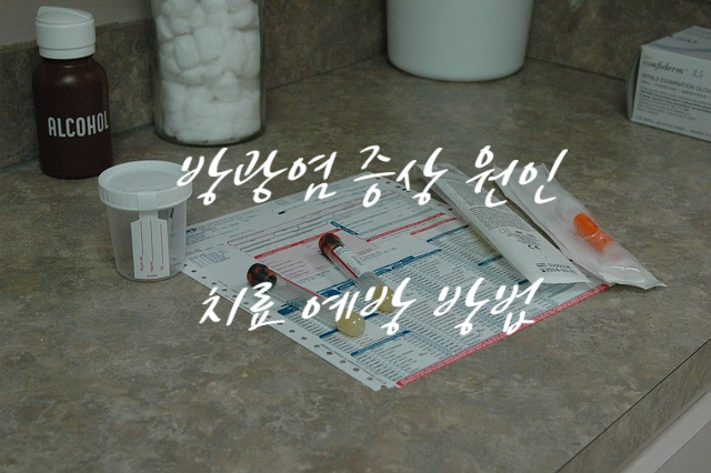  소변이 자주 마려워요 방광염 증상 원인(ft. 예방 방법)