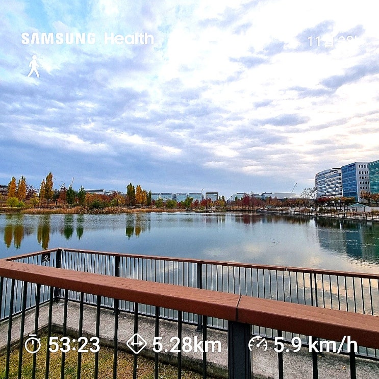  마곡 서울식물원 5km 산책코스 러닝코스 / 단풍구경