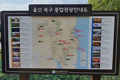 억세 군락지 이미지