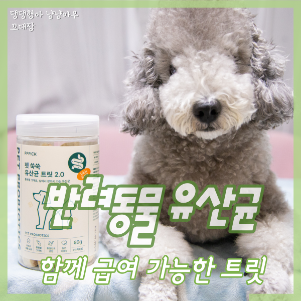  피피픽 고양이 강아지 동결건조 간식 트릿 유산균, 함께 급여해요