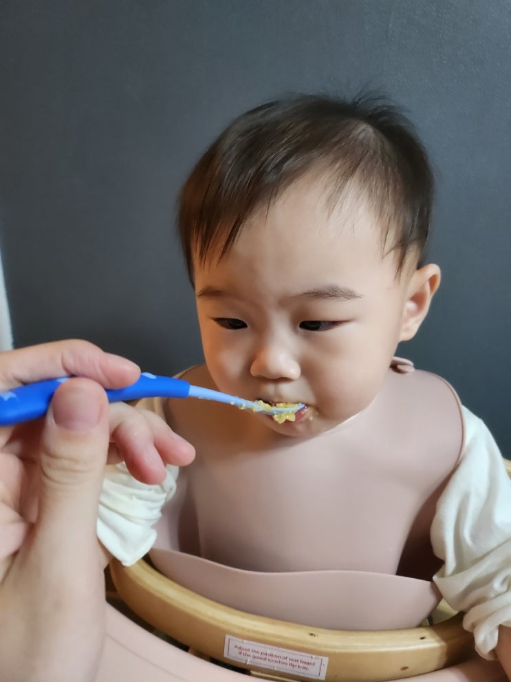  [후기 이유식] 닭고기 양파 가지 이유식, 닭고기 비트 새송이 이유식, 소고기단호박두부무 이유식  (w.잼먹 밥솥 칸막이 이유식)
