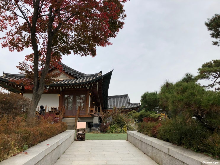  [시흥 카페] 청화공간 | 동양과 서양의 조화가 어우러진 한옥카페 (시그니처 메뉴, 위치, 애견동반 가능)