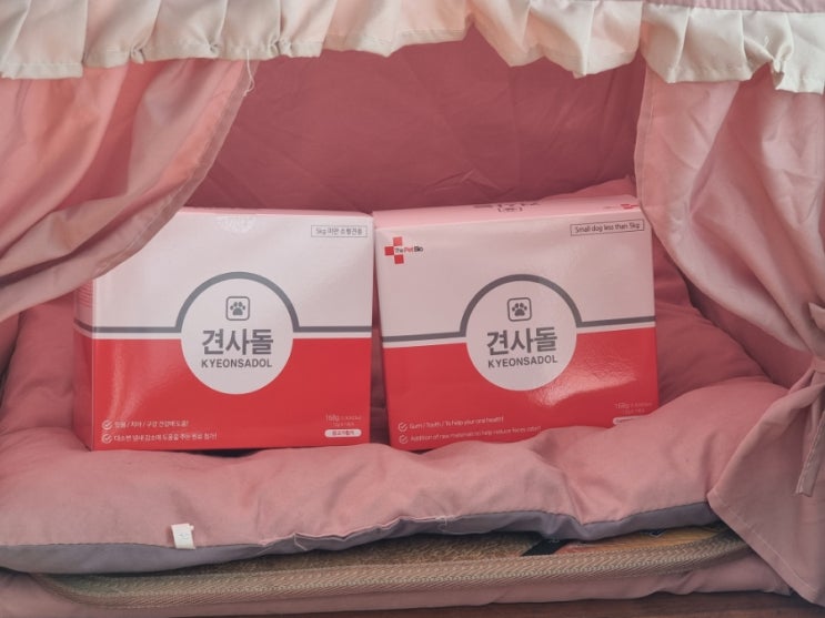  댕댕이 치아를 위한 견사돌
