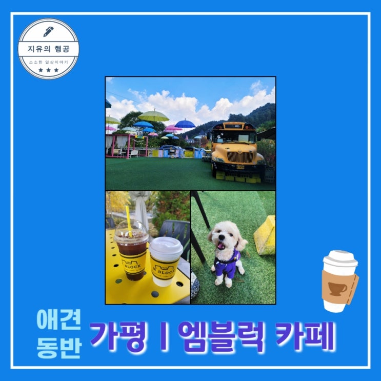  가평 애견동반ㅣ엠블럭 브런치 카페 아침고요수목원 자동차 카페 개별운동장 내돈내산