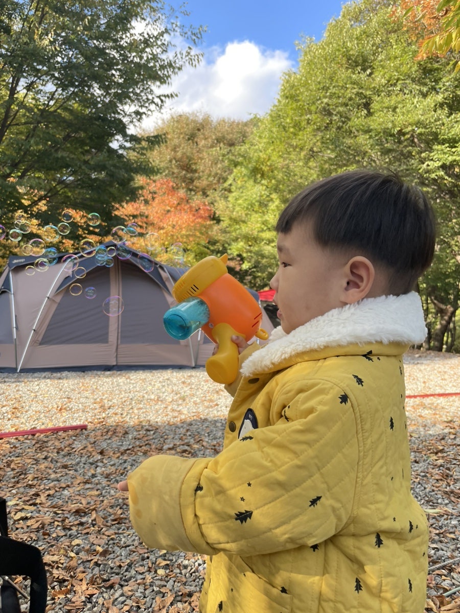 법흥계곡청송캠핑장 사진 4