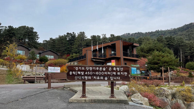 [이화여자대학교 평생교육원]서울산 느리게 걷기 수업...서리산 철쭉산행, 경기도잣향기푸른숲 산림치유