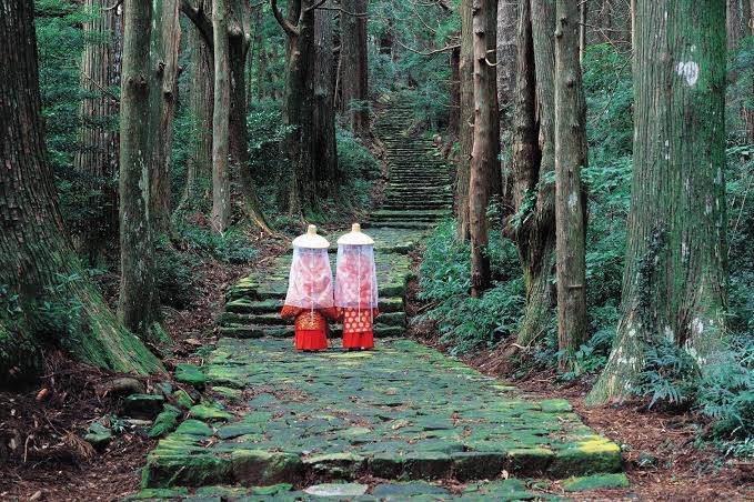 [와카야마여행.2 세계문화유산 구마노고도] 수세기에 걸처 선인들이 수행의길로 걸어왔던 기이산지의 순례길