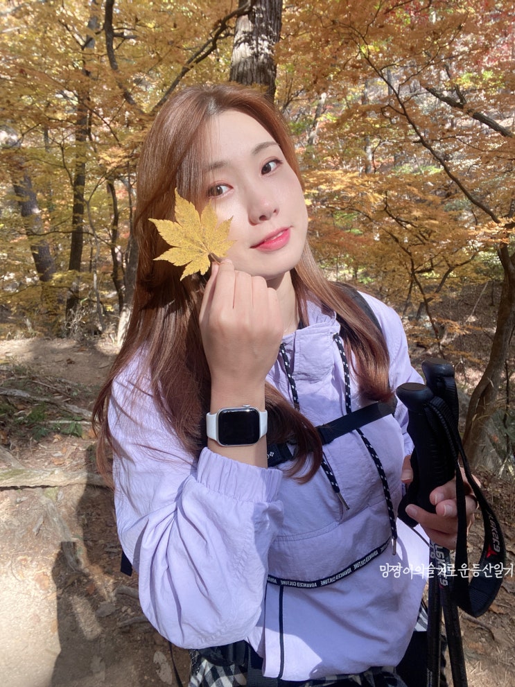  밍짱이네 공지사항