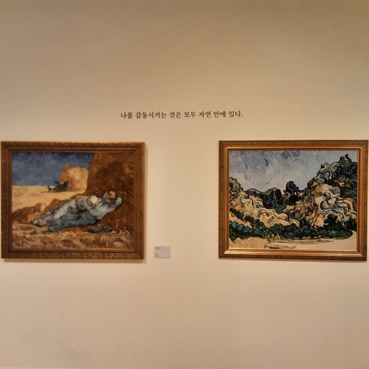  빈센트반고흐, 나를 감동시키는 것은 모두 자연 안에 있다