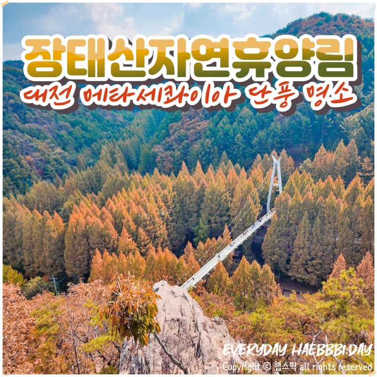  장태산 주차장 어디가 좋을까요? 방문 목적별로 확인하세요!