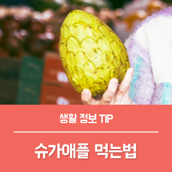  슈가애플 효능 BEST5, 슈가애플 먹는법