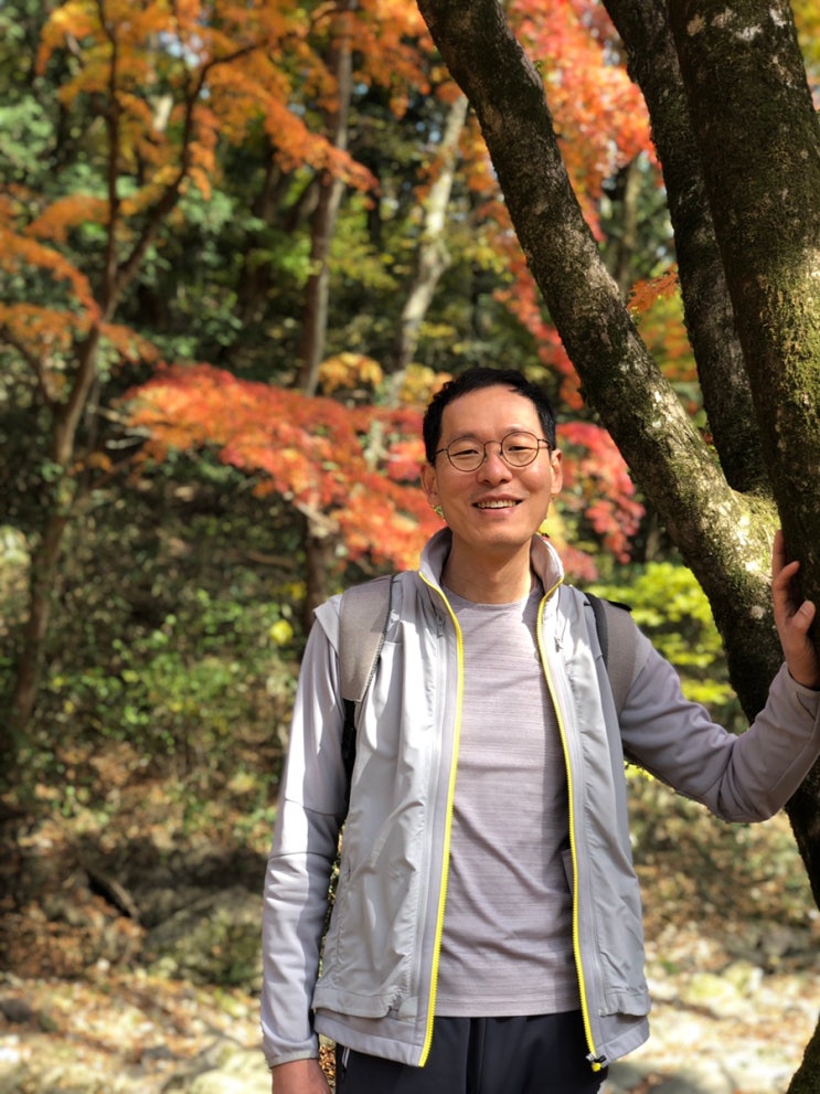  내장산 단풍
