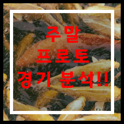  스포츠토토 프로토승부식90회차 해외축구 고배당 무료추천경기 축구승무패61회차 리뷰 코멘트