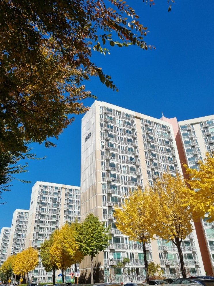  주간일기 10/31~11/6 !!!
