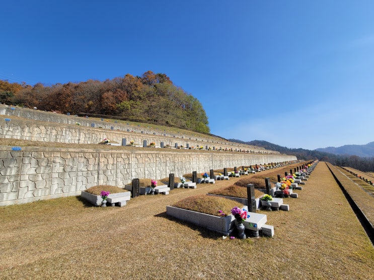  토지 수용령 보상 묘지이장 절차 알아보기(서울장묘산업)