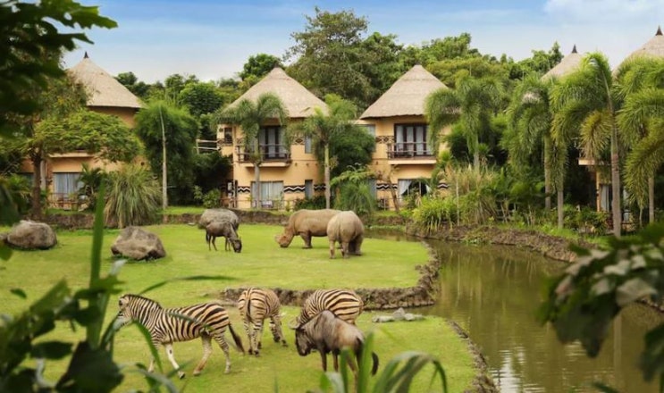 마라 리버 사파리 로지 호텔 ( Mara River Safari Lodge Hotel )