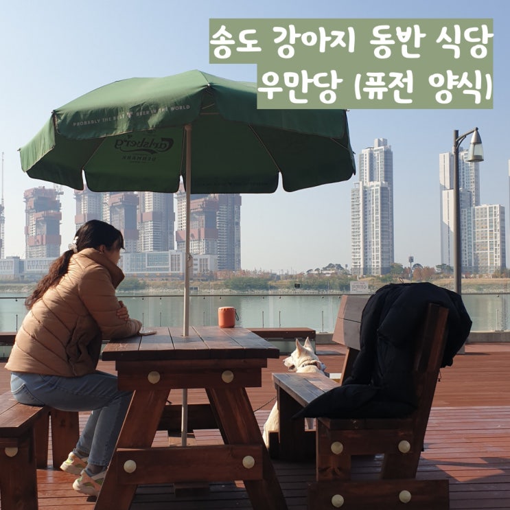 송도 강아지 동반 식당 우만당 - 가격과 맛 모두 만족 송도 강아지 동반 식당 우만당 - 가격과 맛 모두 만족