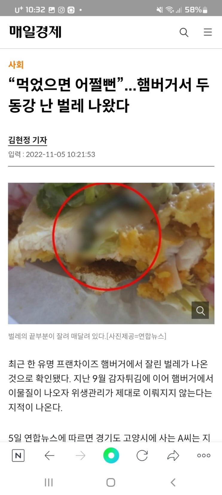 “먹었으면 어쩔뻔”...햄버거서 두 동강 난 벌레 나왔다