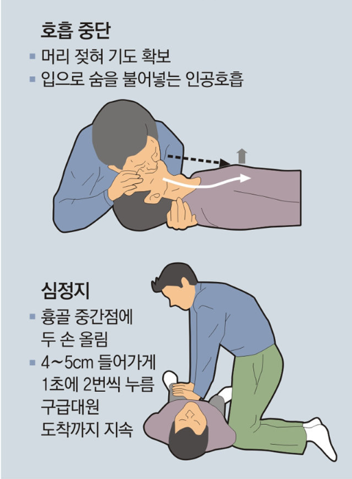 이태원 핼러윈 참사로 돌아보게 되는 심폐소생술. CPR 하는 방법