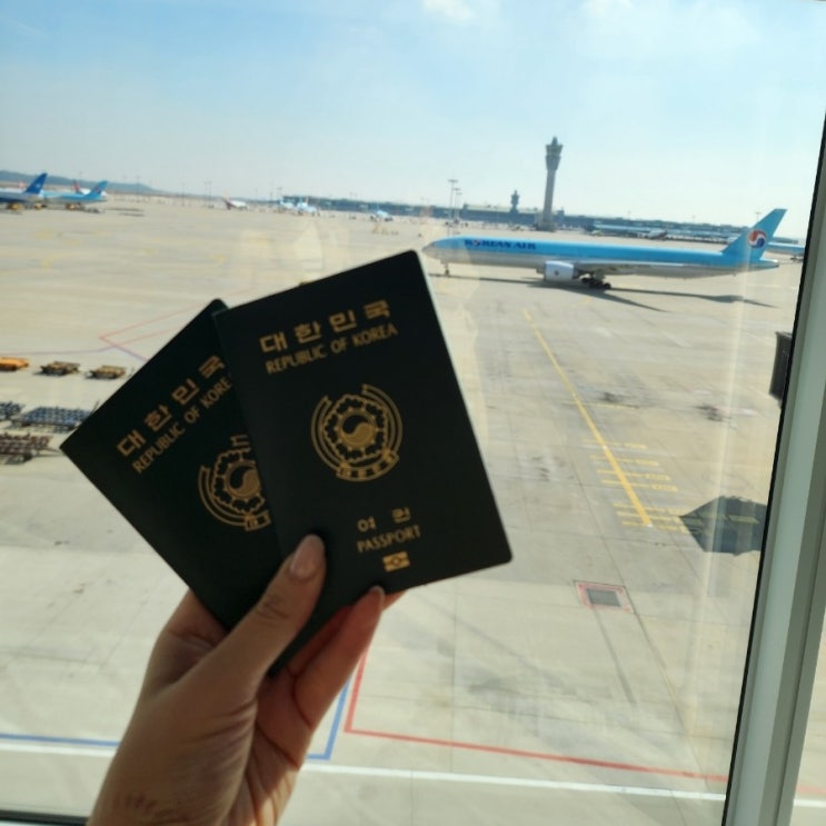  대한항공 체크인과 좌석지정 인천 로마 좌석 추천