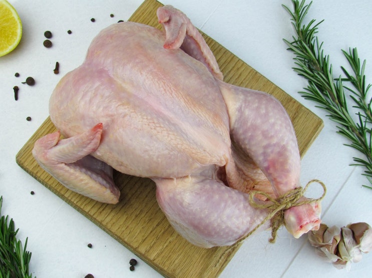  [영어이디엄] Go cold turkey 무슨 뜻?