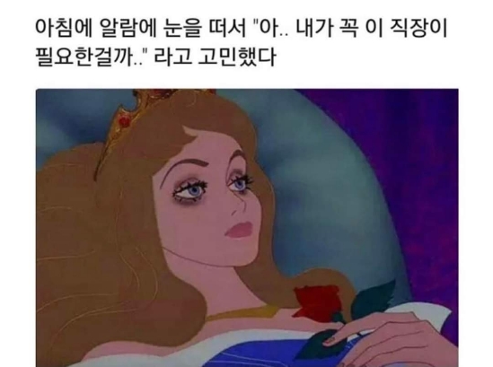 회사 신입 후기  ( 신입 꿀팁 )