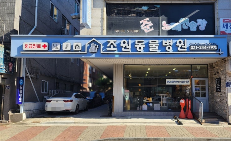 꼼꼼하고 친절한 수원 조원동물병원 강아지기본검진 후기